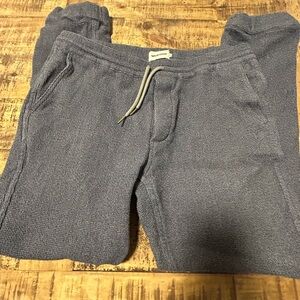 Taylor Stitch Blue Sweatpants